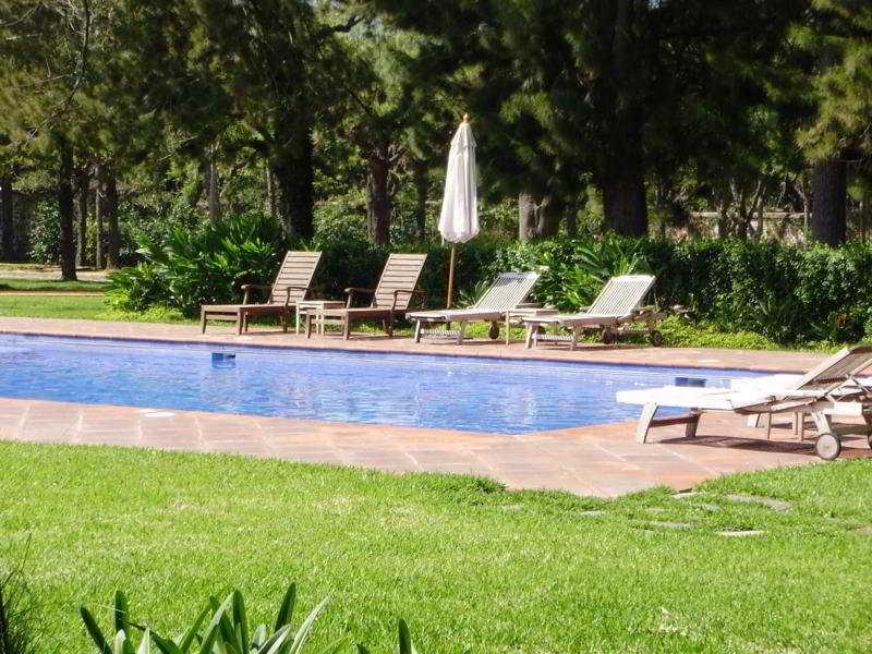 Filadelfia Coffee Resort & Tour Jocotenango Esterno foto