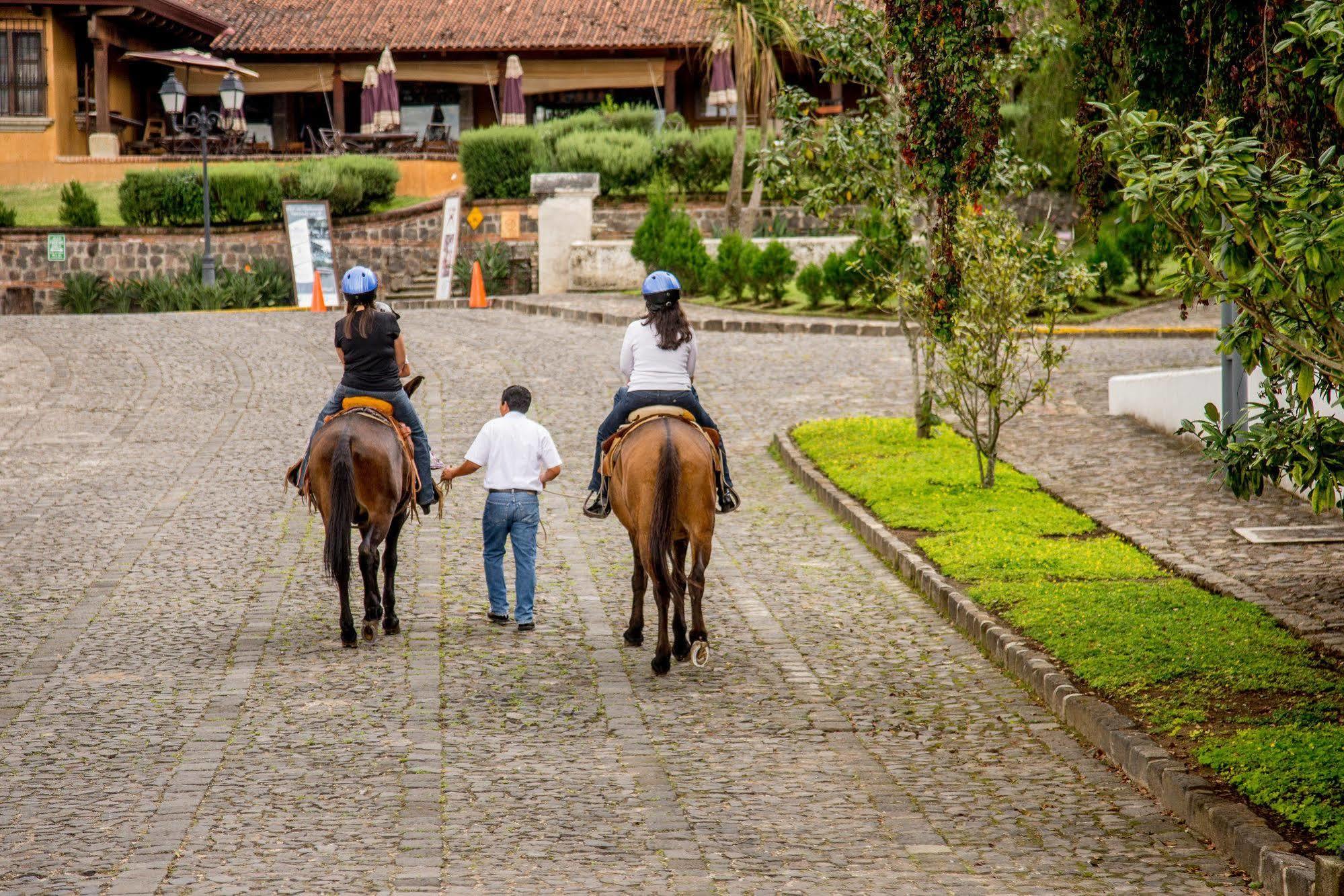 Filadelfia Coffee Resort & Tour Jocotenango Esterno foto