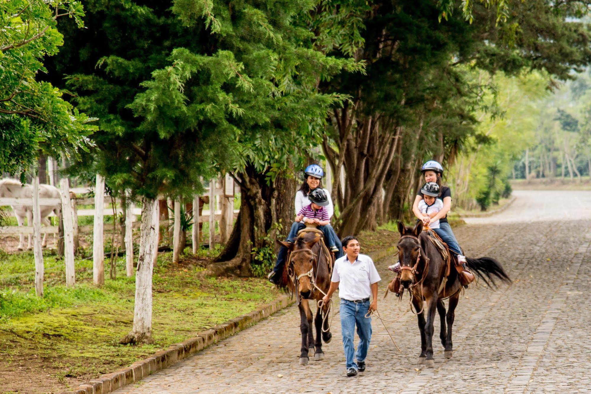 Filadelfia Coffee Resort & Tour Jocotenango Esterno foto